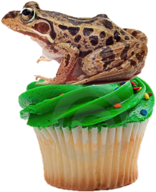 Jabba's Cupcake - Tribalsensation Cupcake Stars & Swirls Nozzle Set (323x395)