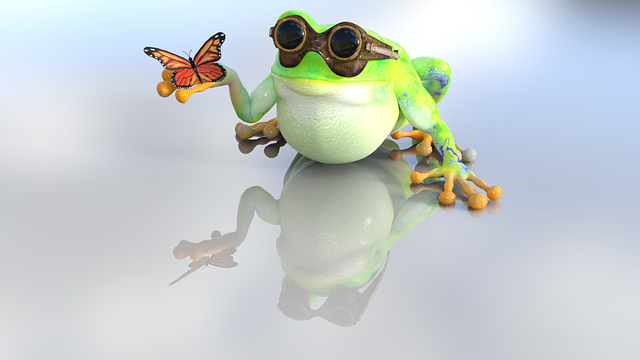 Frog, Toad, Nature, Butterfly - Sapo Con Una Mariposa (640x360)