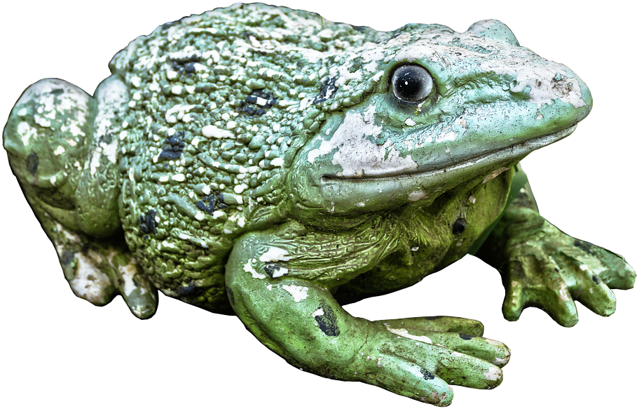 Frog, Green, Figure, Ceramic, Animal Figure, Decoration - Frog (960x640)