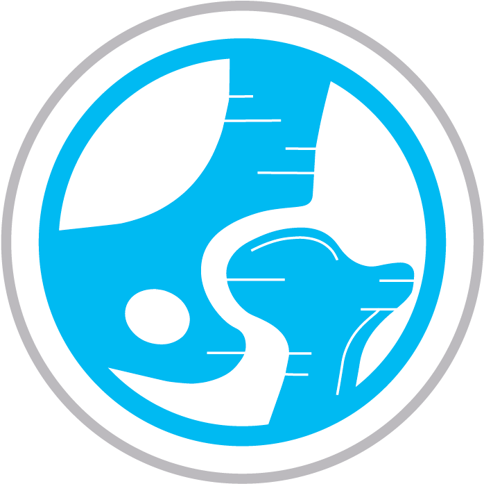 Hip Joint Icon Png (833x833)