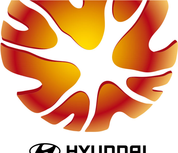 90 Minute Cynic / World Football - Hyundai A League Png (800x600)