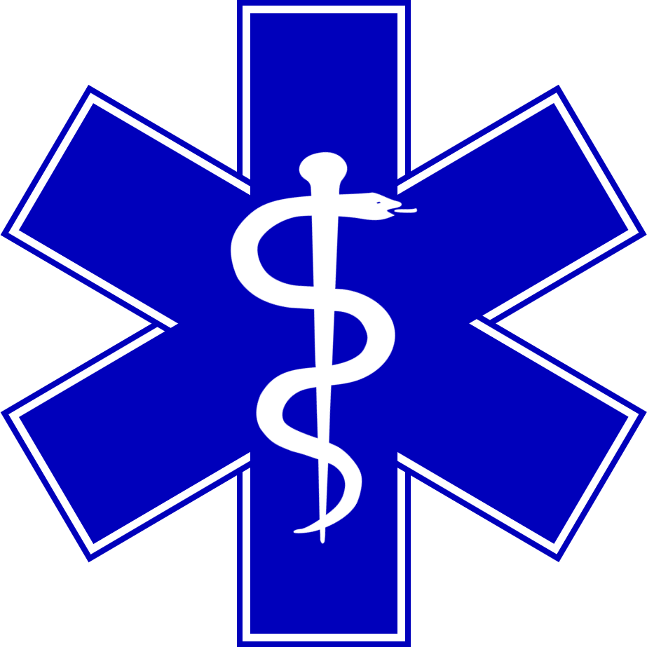 The Healthcare Professions Include A Variety Of Disciplines - Star Of Life Sticker (923x923)