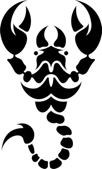 Tribal Drawings Of Scorpio - Scorpion Tattoos For Girls (350x575)