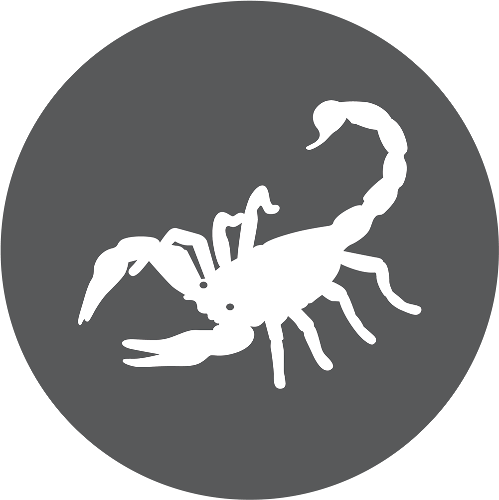 Scorpion (1500x1125)
