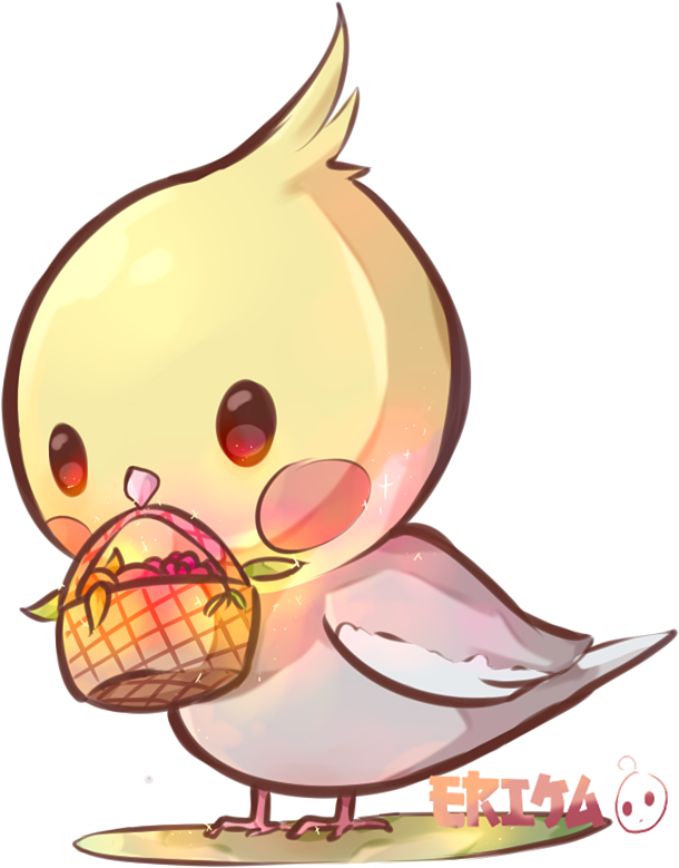 Illustrations - Cockatiel (1000x1000)