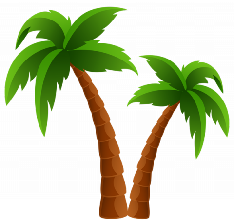 From Ediciones Inéditos - Palm Tree Clipart Png (480x453)