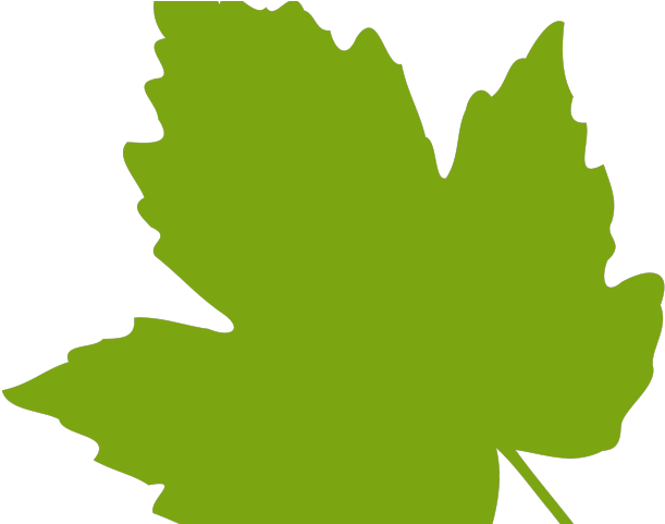 Free Leaf Cliparts - Green Leaf Clip Art (640x480)