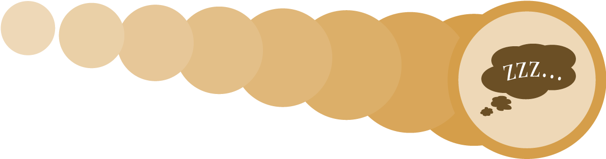 Our Hormones Tell Us To Eat Less - Circle (1280x321)