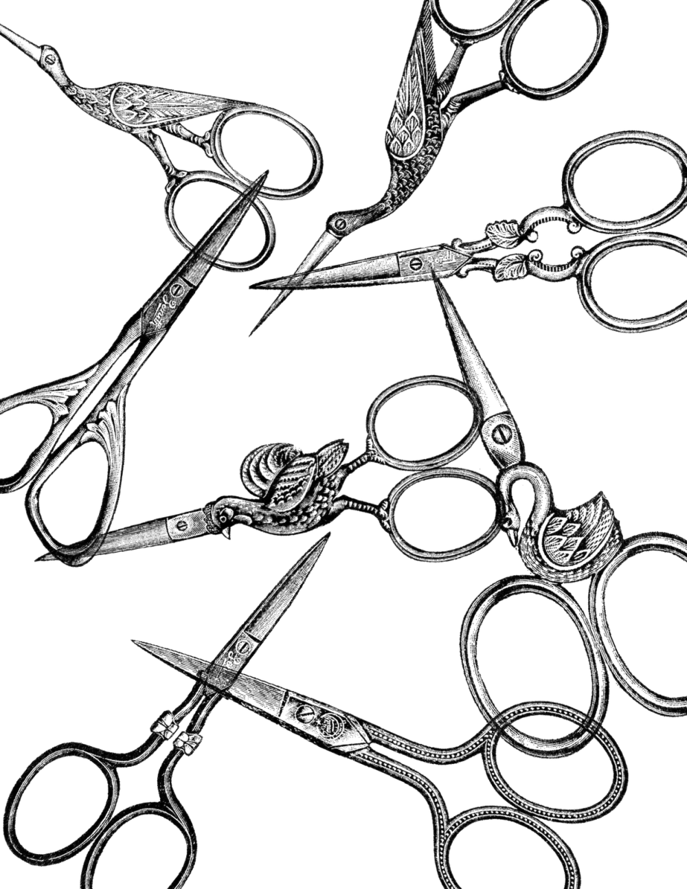 Download Vintage Scissors Clip Art Png For Designing - Transparent Scissors (1000x1294)