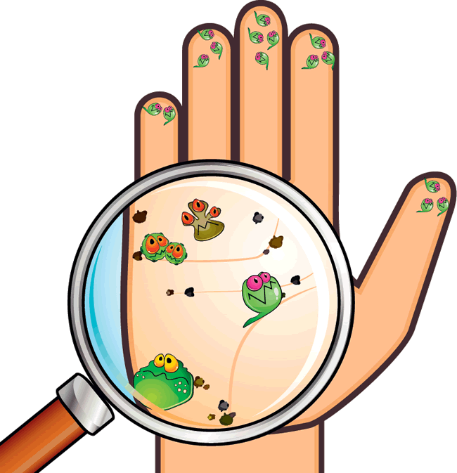 Mano Sucia Png - Microbiota De La Piel (650x673)