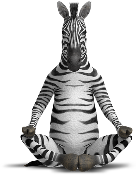 Zen Zebra - Zebras Don T Get Ulcers (465x600)