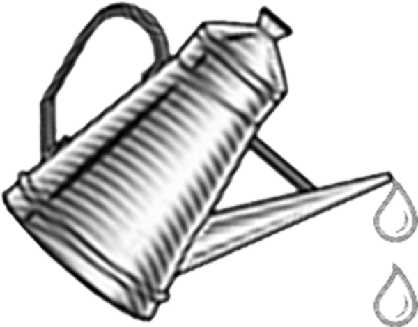 Beef Carpaccio - Sketch (600x469)