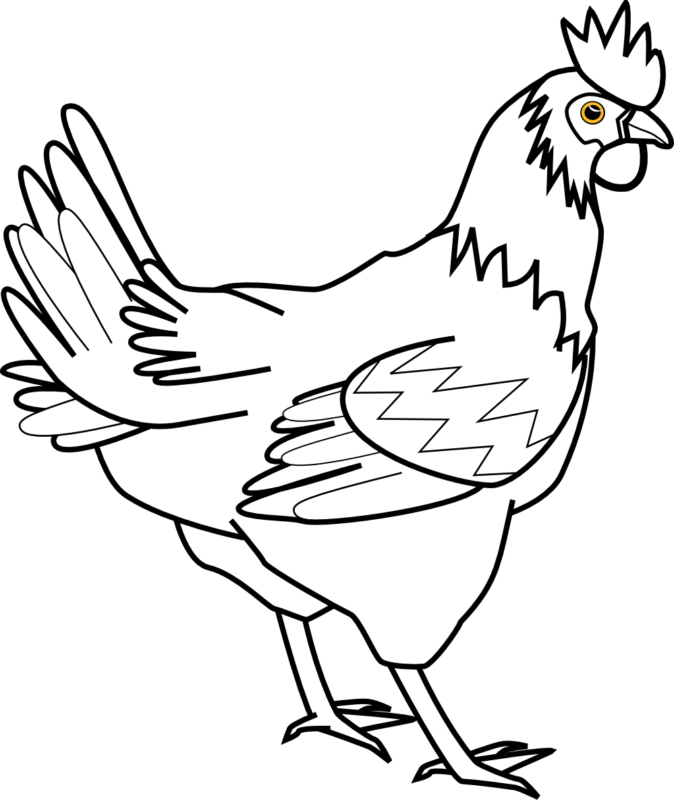 Chicken Clipart Black And White Chicken Food Clipart - Chicken Clipart Black And White (674x800)