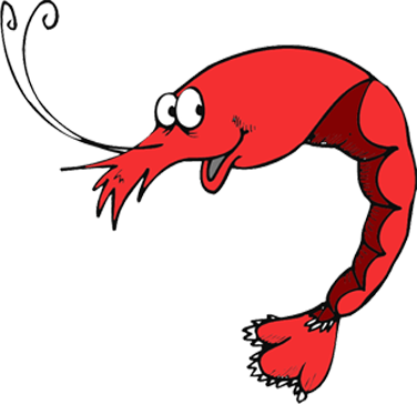 The Sea Shack - The Sea Shack (376x364)