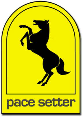 Pacesetter Exhaust - 09-10 Ford F150, 2/4wd Pacesetter Headers | Azraceplace.com (400x400)