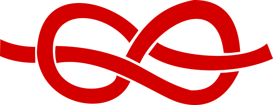 Red Knot - Sailor (900x348)