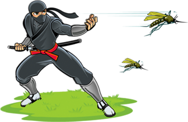 Our Mosquito-fighting Experts - Illustration (640x540)