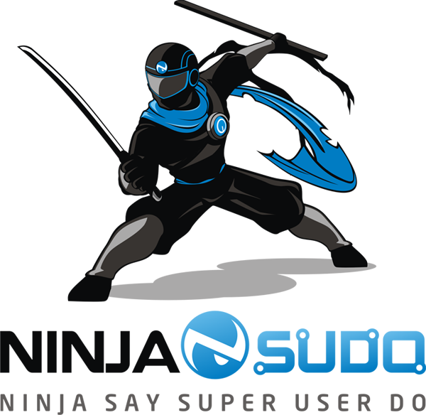 Ninja Logo - Different Types Of Ninjas (600x584)