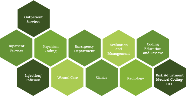 Our 24/7 Secure Remote Coding Service Is Hipaa Compliant, - Medical Coding Team (623x332)