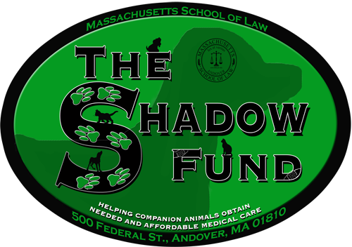 The Shadow Fund Cannot Be Used For Routine Medical - Massachusetts School Of Law (500x352)