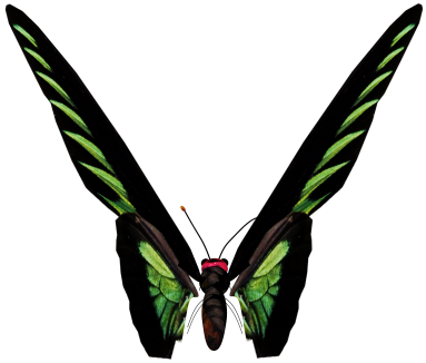 Butterfly-green - Butterfly 5 Necklace Circle Charm (383x326)