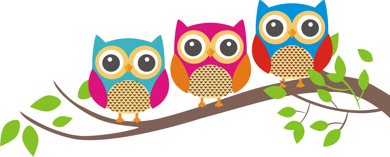 Good Morning Owls (1534x620)