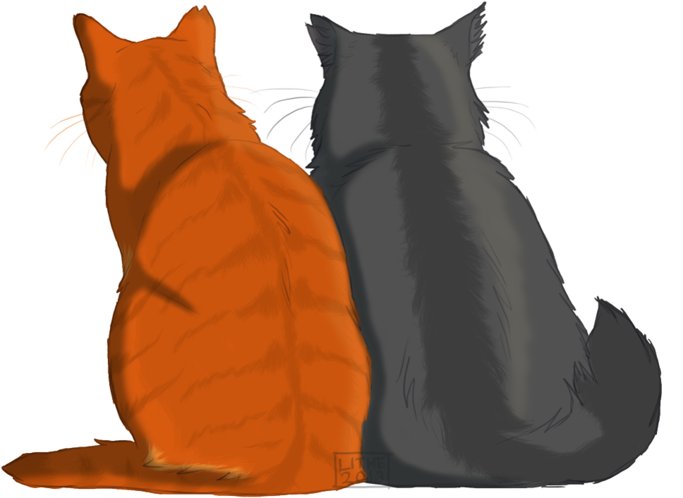 679 Best Warrior Cats Images On Pinterest Warrior Cats, - Graystripe And Fireheart (1024x752)