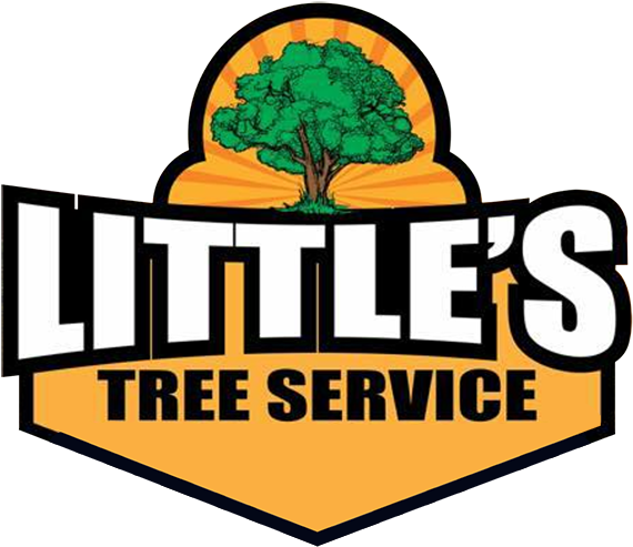 Tree Trimming Services - Tree Trimming Services (600x511)
