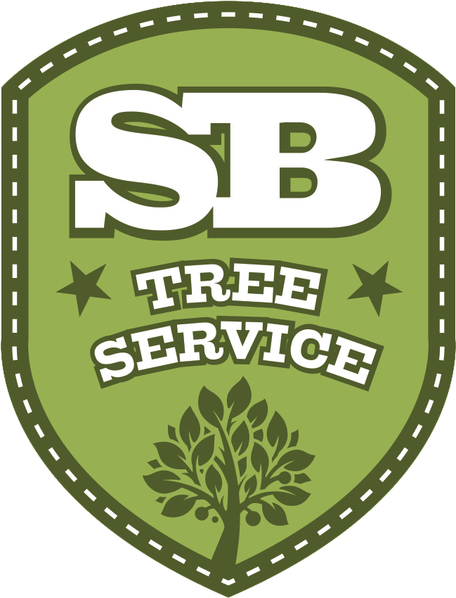 Sb Tree Service Logo - Sb Tree Service (900x900)