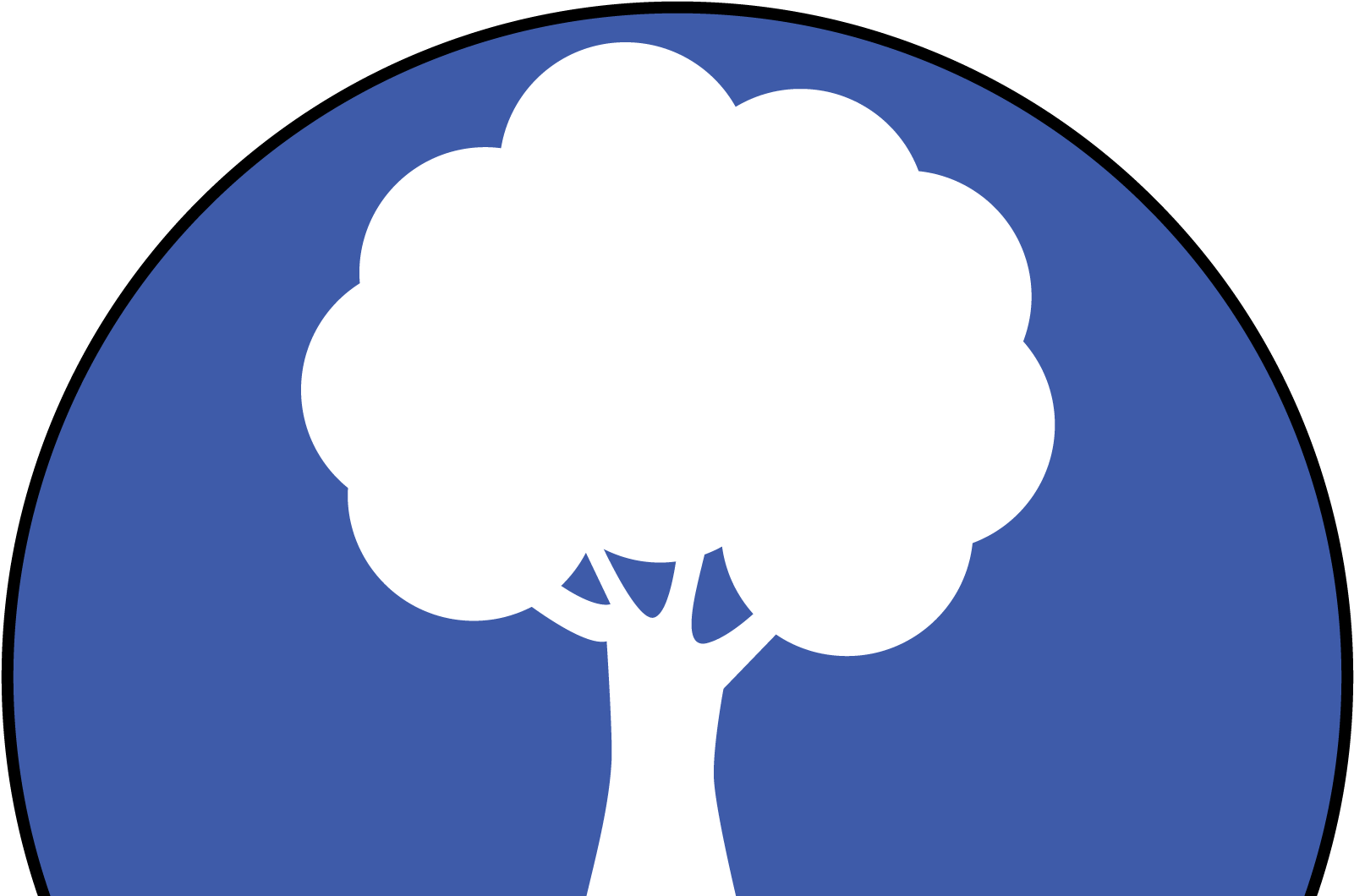 Tree Removal - Natural Environment (1920x1080)