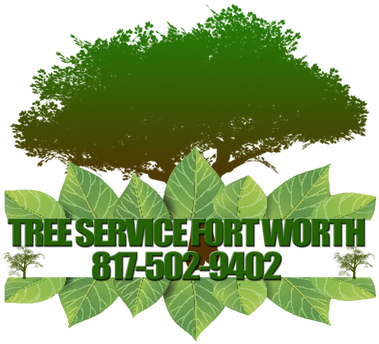 Tree Service Fort Worth Is A Leader Tree Service Provider - Love (381x381)