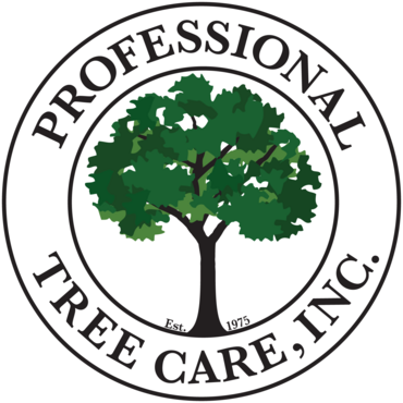 Home - University Of North Western (370x370)