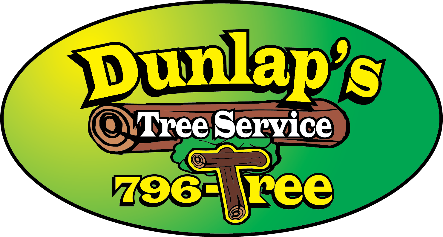 Dunlap's Tree Service - Stump Grinder (1483x794)
