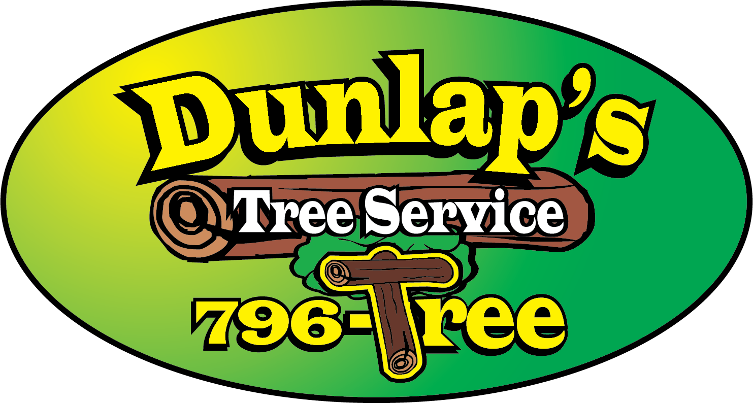 Dunlap's Tree Service Stump Grinder (1483x794) Png Clipart Download