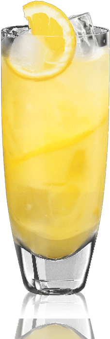 2 Parts Bacardí® O™, 4 Parts Freshly Squeeze Orange - Highball (390x703)