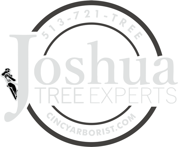Joshua Tree Experts - Mercedes Benz Star (700x550)