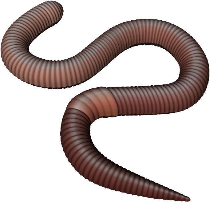 Earthworm Clip Art - Earthworm Clip Art (820x718)