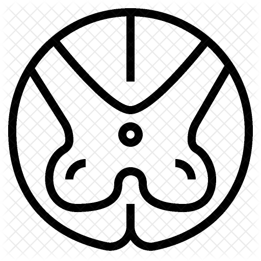 Spinal Icon - Paper Fan Icon (512x512)