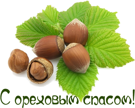 5227673 104500036 Bez Imeni 2 - Анимашки Ореховый Спас 2016 Год (500x366)