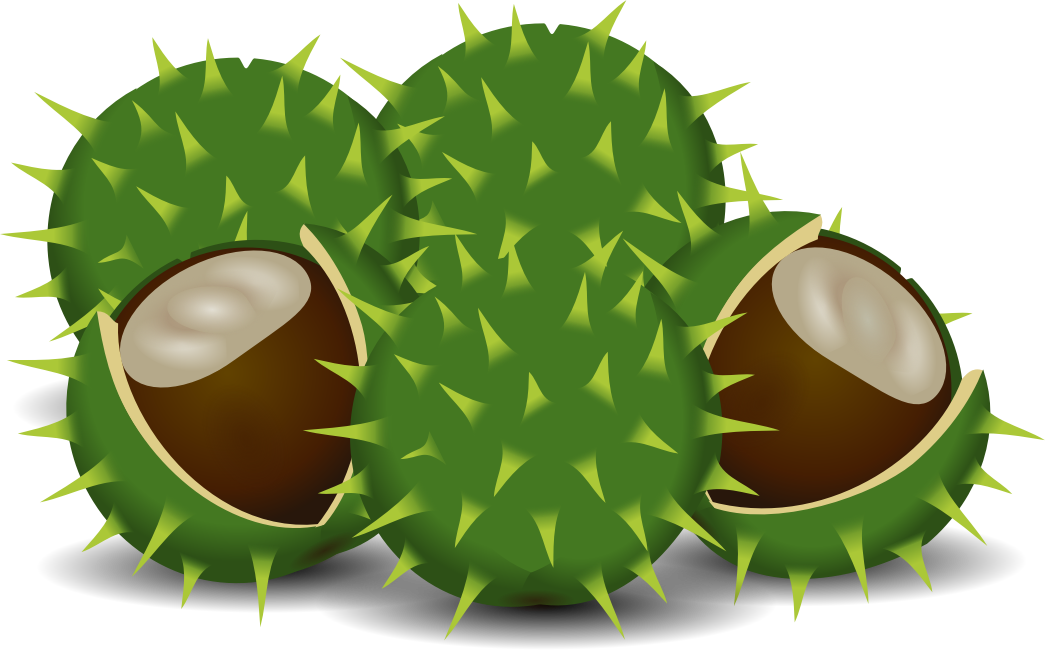 Clip Arts Related To - Clip Art Chestnut (1045x650)