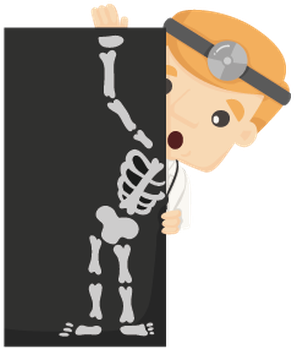 X Ray Fish Clipart - Clipart X Ray (362x399)