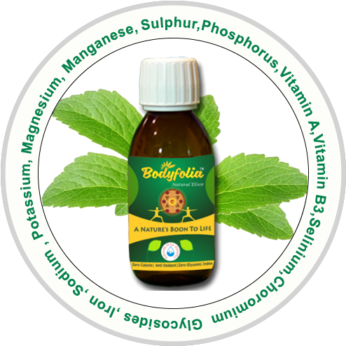 Welcome To Bodyfolia - Natural Foods (500x500)