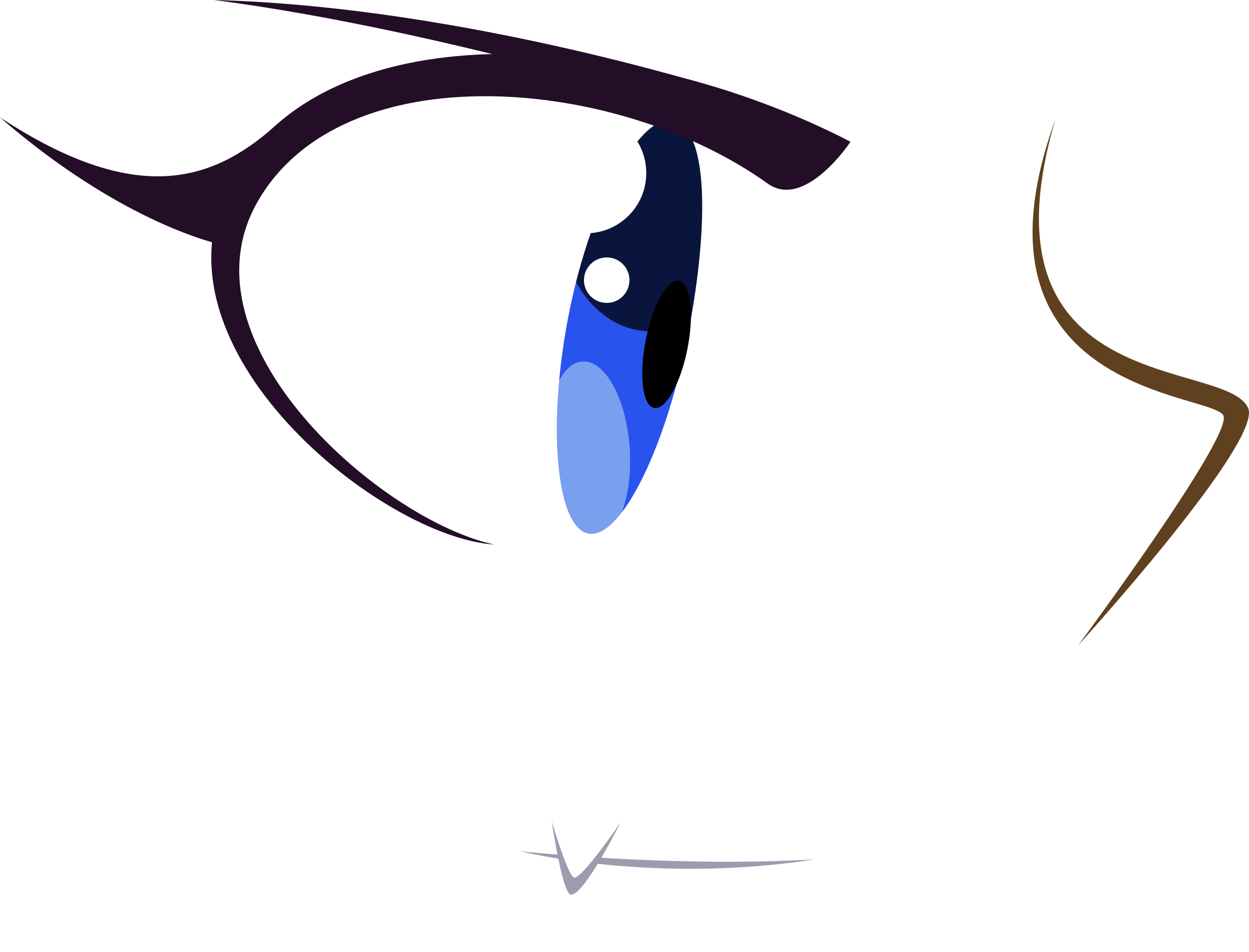 Blue Eyes Angry - Shantae (2500x1905)