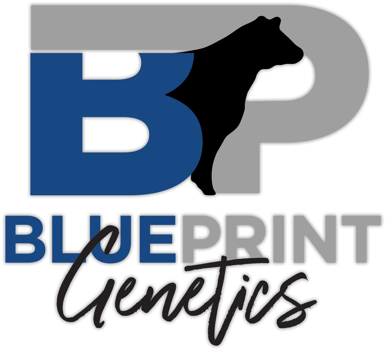 Remax Blueprint Realty (1561x1336)