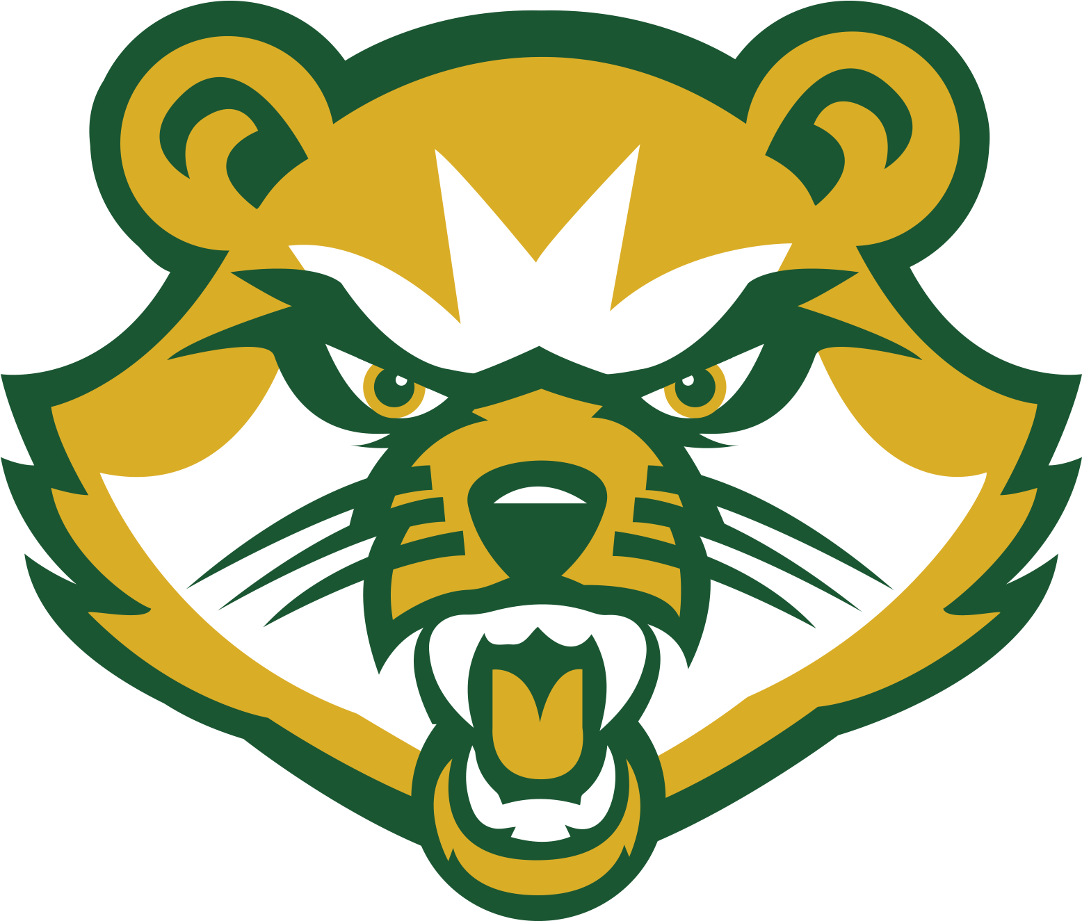 Vincent Baseball Scores, Results, Schedule, Roster - Saint Vincent College Bearcat (1556x1325)