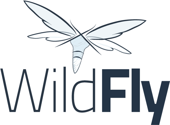 Java Ee 7 - Jboss Wildfly (600x450)