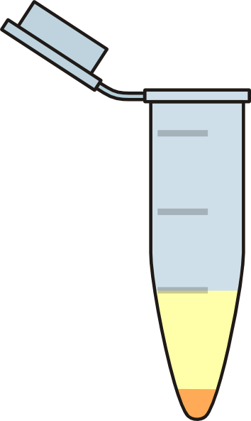 Eppendorf Tube Png (354x593)