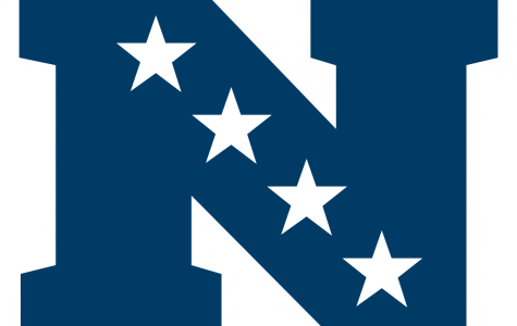 Super Bowl Predictions Nfc - Bosnia And Herzegovina Flag (475x300)