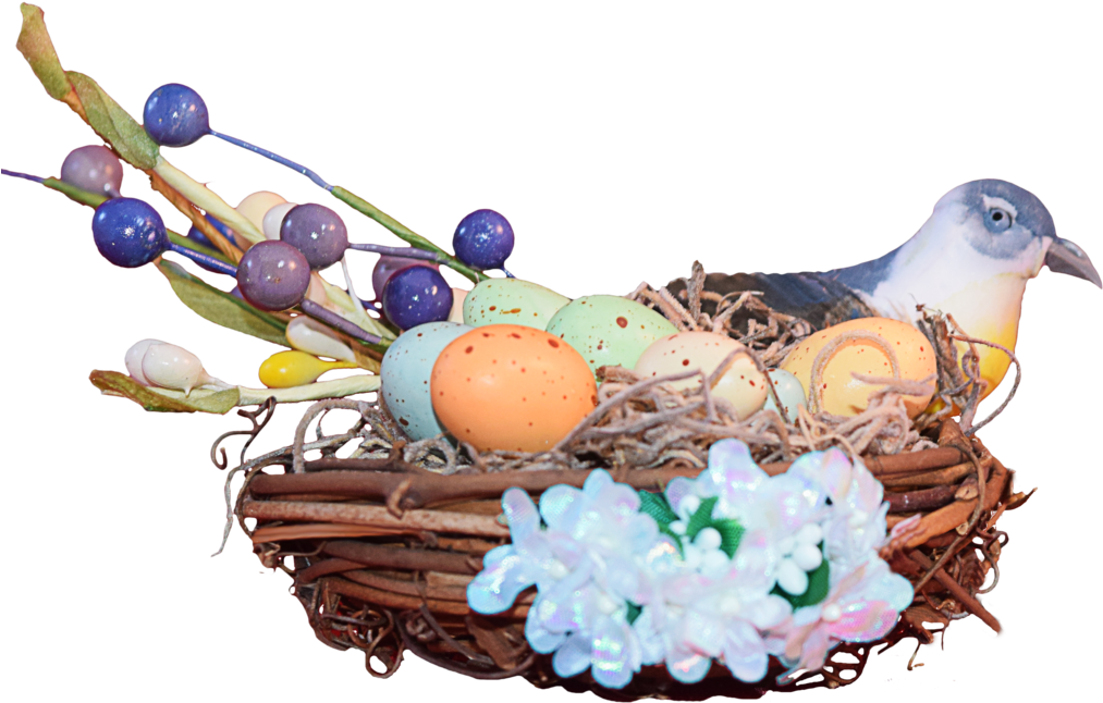 Awesome Nest Png Image With Easter Animals Png - Bird Nest (1024x666)