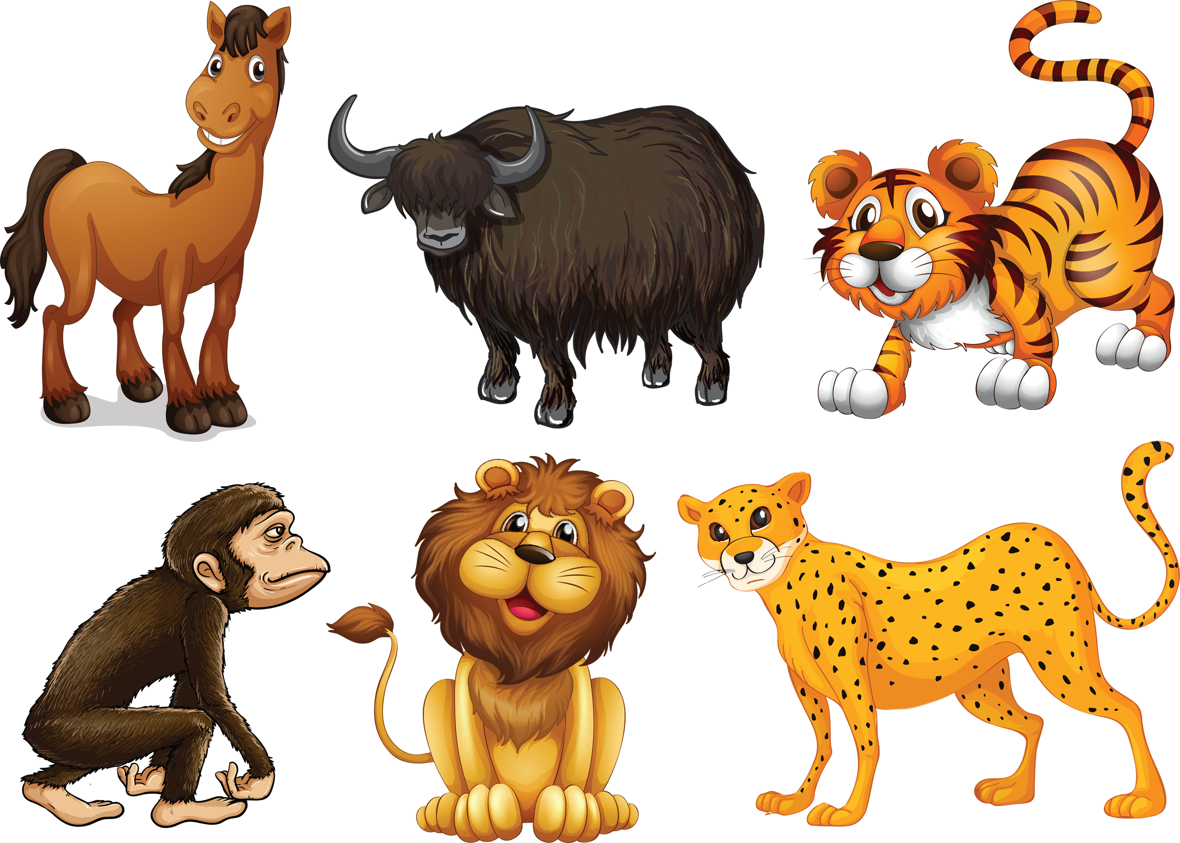 Jungle Theme Day Camp, Shac - Different Kinds Of Animals (2400x1715)